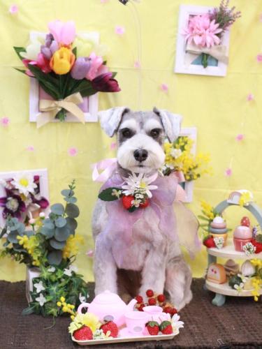 20230307むぎちゃん